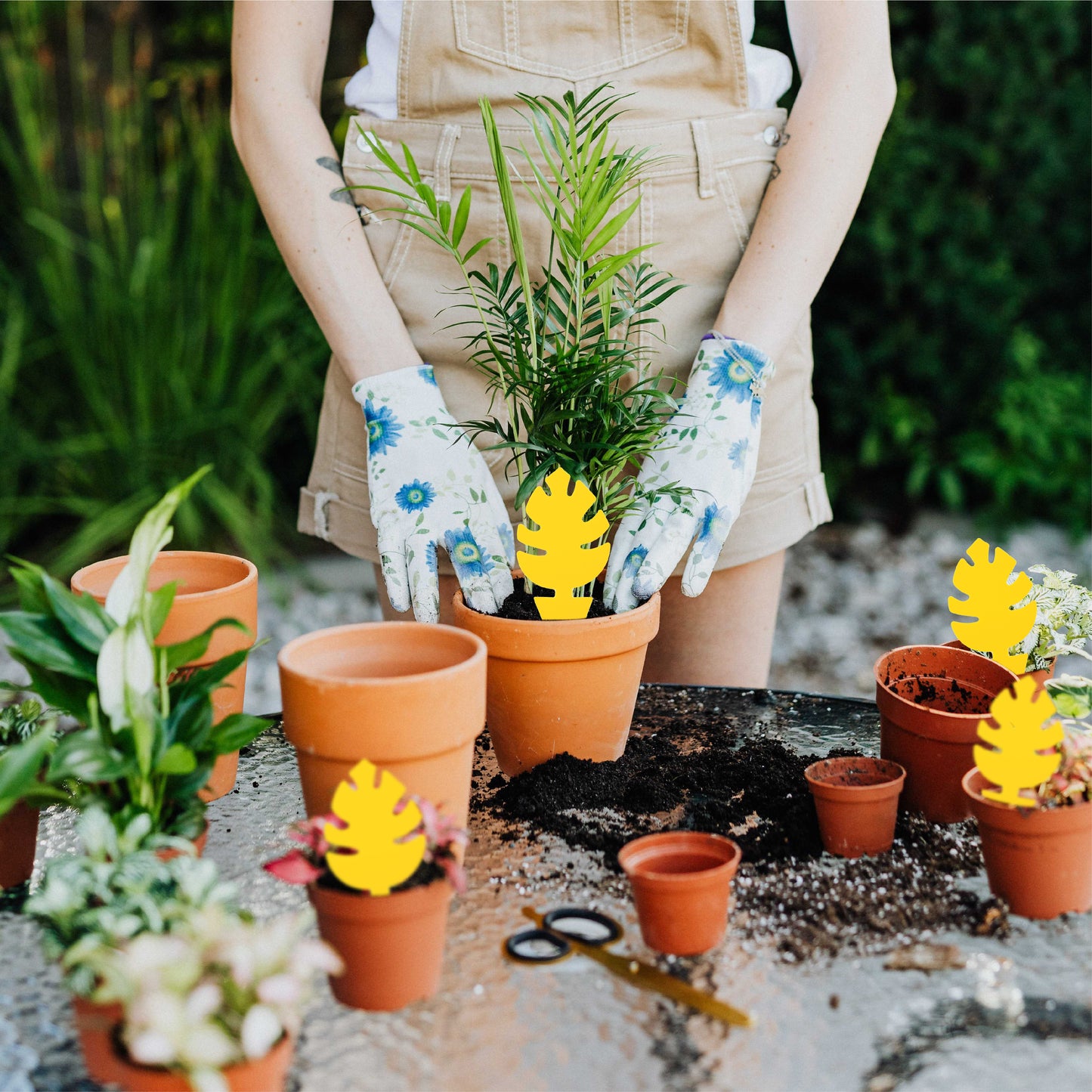 30 Pieces Pack Monstera Leaf Yellow Sticky Traps for Gnats for Indoor Houseplants