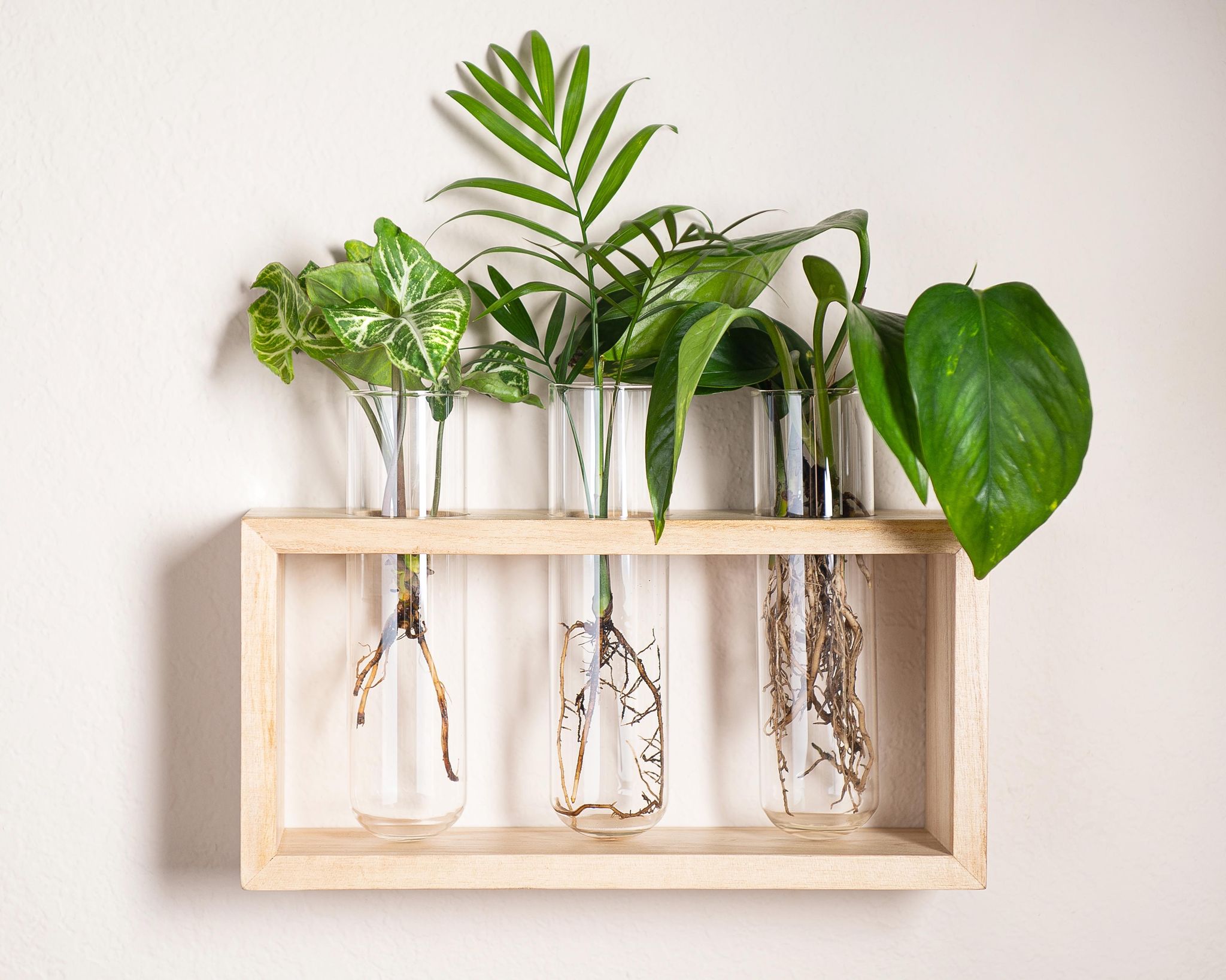 Plant Accessories#N# – GrowMargo