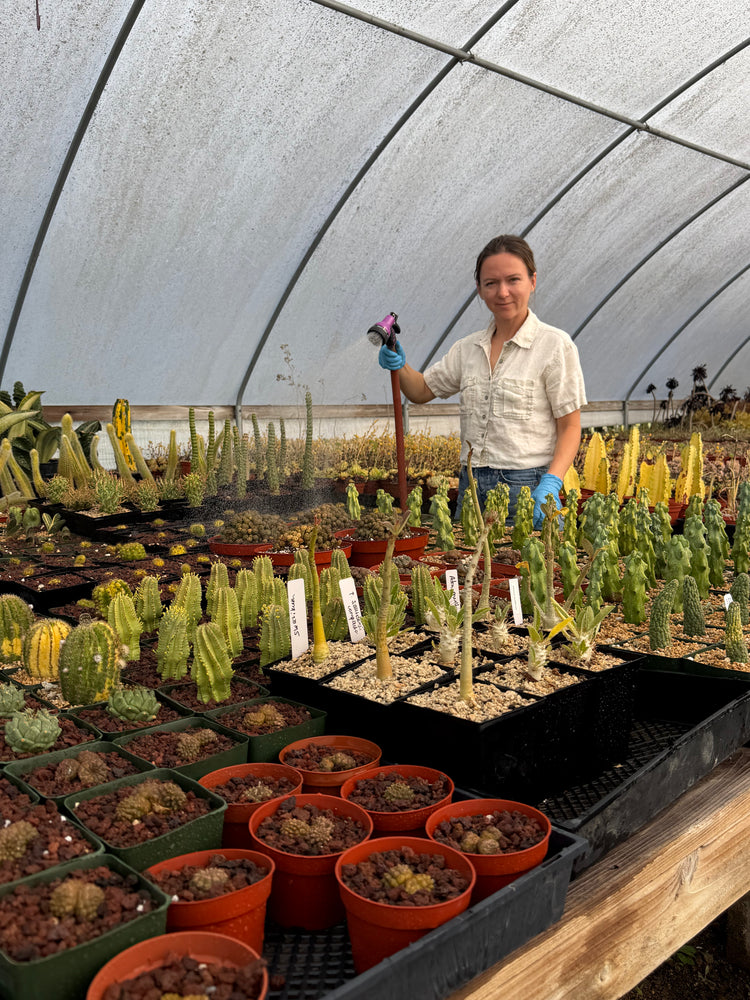 Margo with plants in the greenhouse