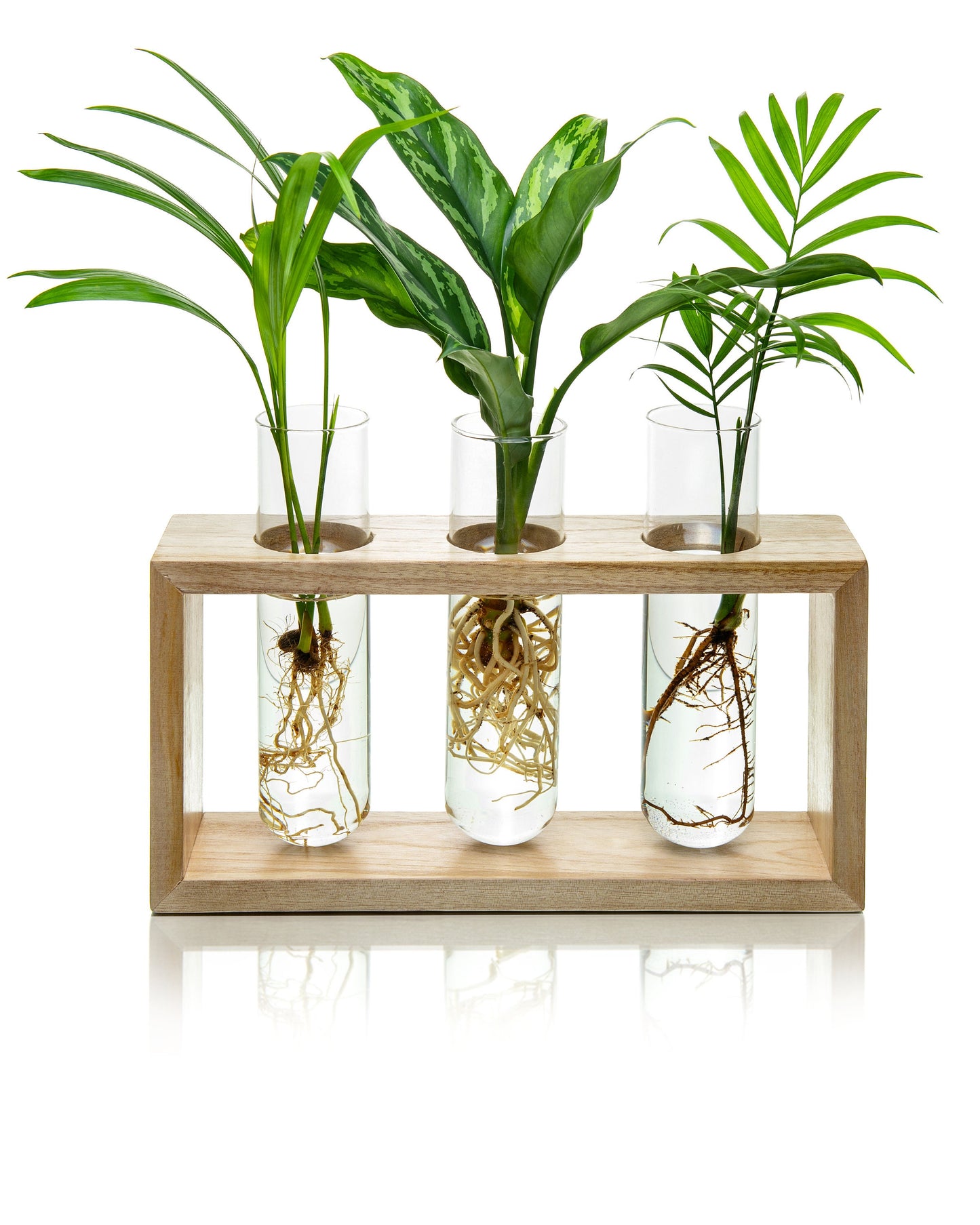 Large Propagation Station Frame with Hooks - Hang or Stand - 3 glass tubes 2'' wide - Set in a Light Stained Wooden Frame