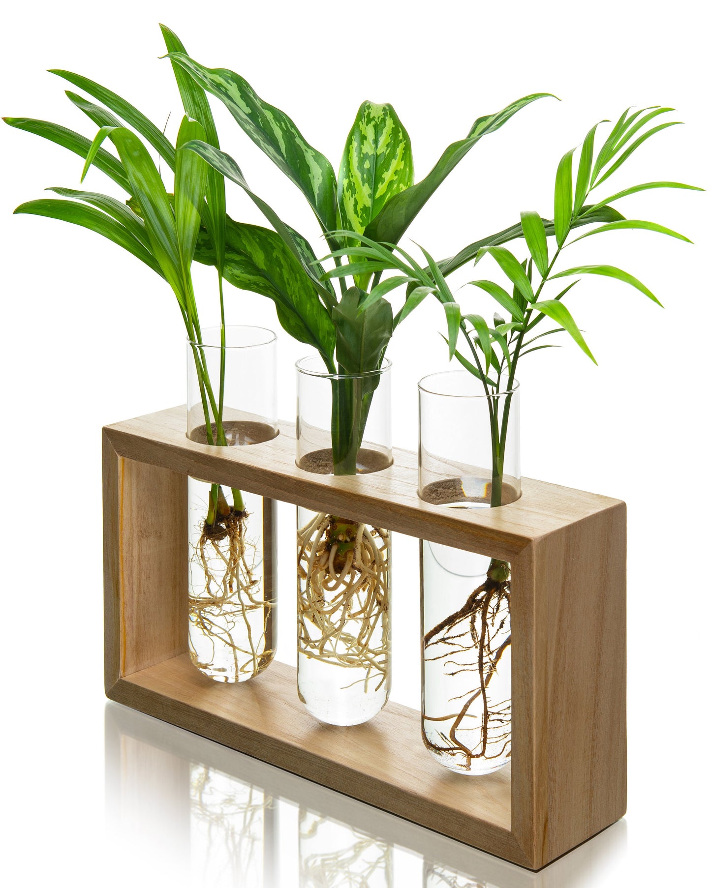 Large Propagation Station Frame with Hooks - Hang or Stand - 3 glass tubes 2'' wide - Set in a Light Stained Wooden Frame