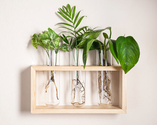 Large Propagation Station Frame with Hooks - Hang or Stand - 3 glass tubes 2'' wide - Set in a Light Stained Wooden Frame